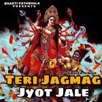 Teri Jagmag Jyot Jale