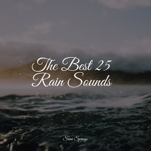 Soothing Ocean Sounds cover art