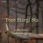 Tore Stargi Sta