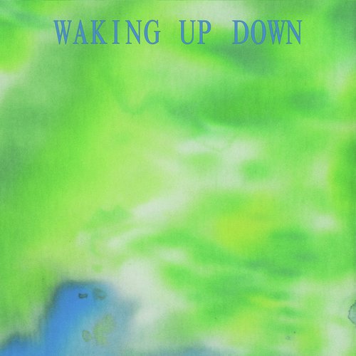 WAKING UP DOWN_poster_image