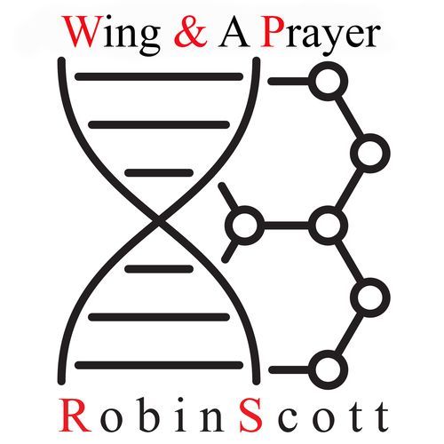 Wing & a Prayer