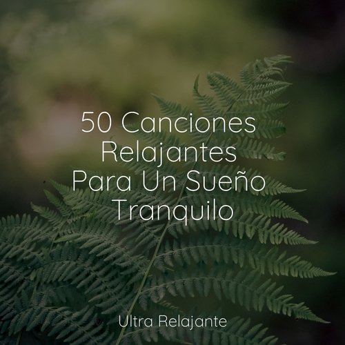 50 Canciones Relajantes Para Un Sueño Tranquilo