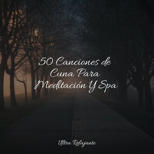 50 Canciones de Cuna Para Meditación Y Spa_poster_image