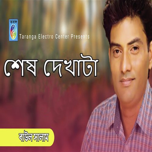 শেষ দেখাটা