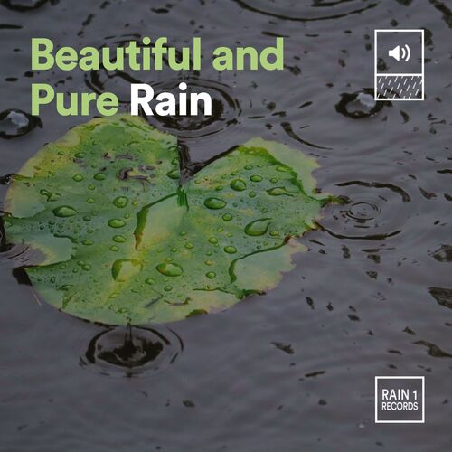 Beautiful and Pure Rain_poster_image