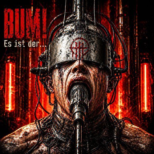 In Den Sturm cover art