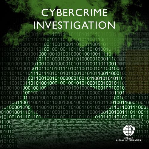 Computer Crime