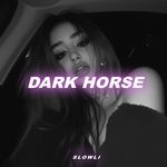 Dark Horse (Slowed &amp; Reverb)