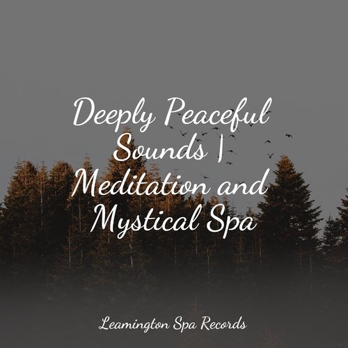 Sleep Music cover art