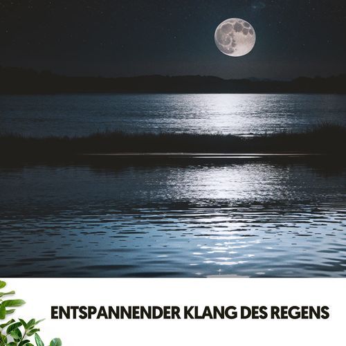 Entspannender Klang des Regens: Melodien aus den Regentropfen_poster_image