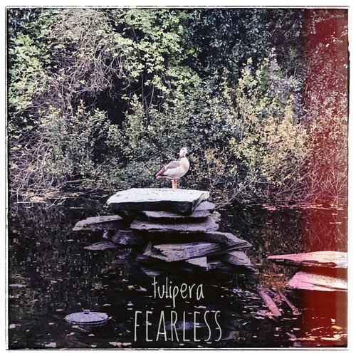 Fearless cover art
