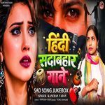 Hindi Sadabahar Gaane Vol 9 artwork