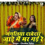 Jangaliya Dawedar Jaade Me Mr Ge Re (Hindi)