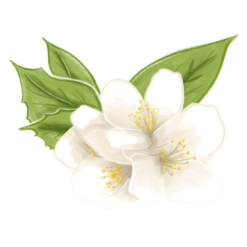 Jasmine Flower (Extended Version)