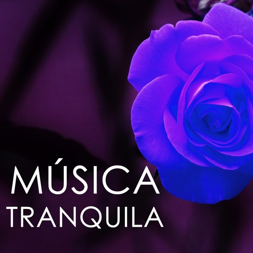 Música Japonesa cover art