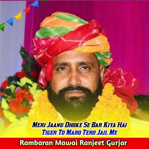 Meri Jaanu Dhoke Se Bar Kiya Hai Tiger To Maro Tero Jail Me