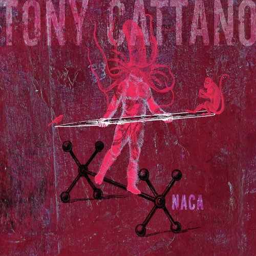 Tony Cattano