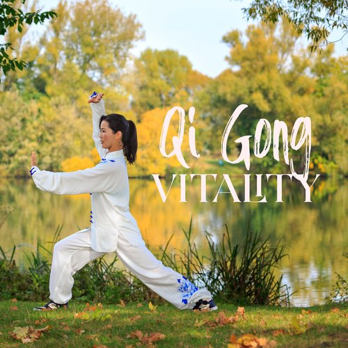 Qi Gong Academy cover art
