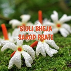 SIULI BHEJA SAROD PRATE-RTczcgMFTl4