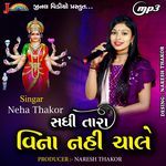 Sadhi Tara Vina Nahi Chale