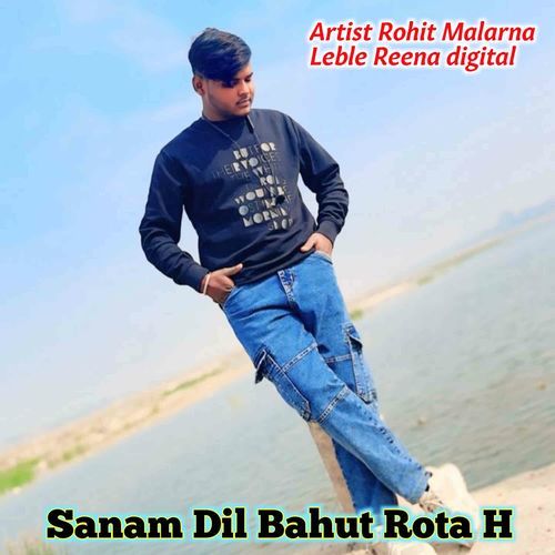 Sanam Dil Bahut Rota H