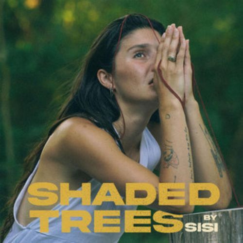 Shaded Trees (Acoustic Version)