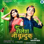 Shailesh Ni Banduk Part 1