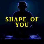 Shape of You (Originally Performed by Ed Sheeran)