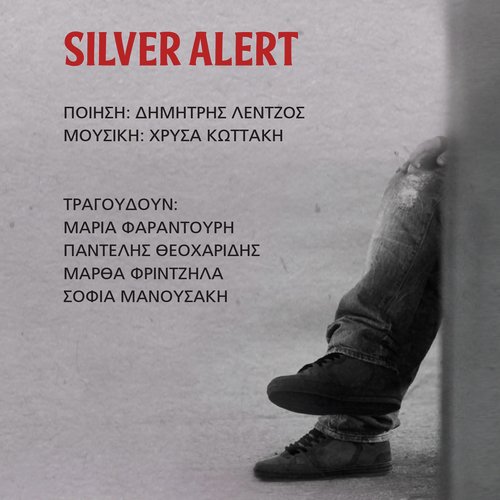 Silver Alert_poster_image