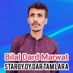 Stargy Dy Dar Tam Lara-SCxdeT18cmA