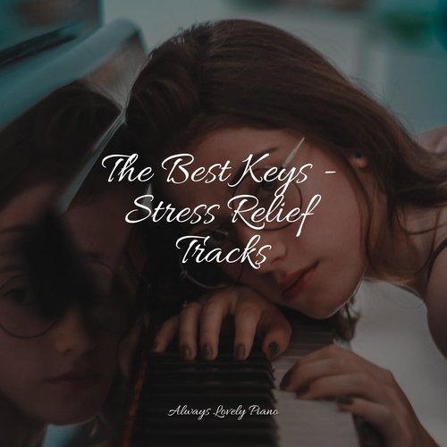 The Best Keys - Stress Relief Tracks