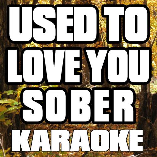 Used to Love You Sober (Karaoke Version)_poster_image