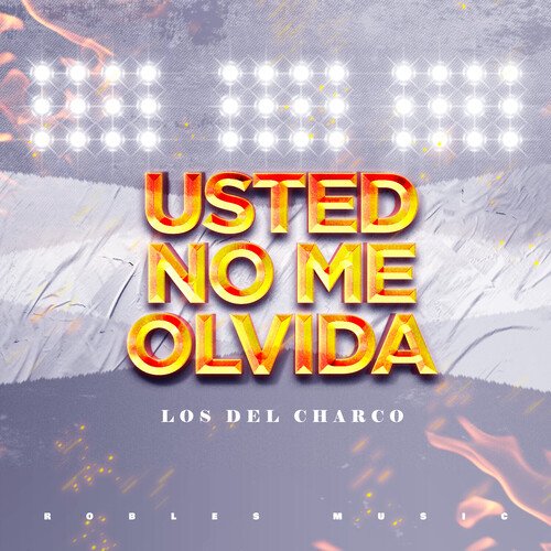 Usted No Me Olvida_poster_image