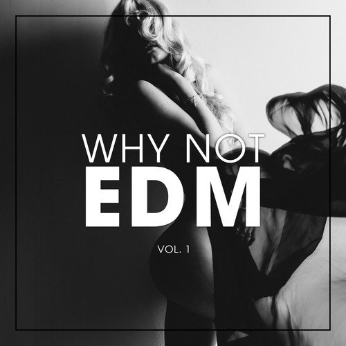 Why Not EDM, Vol. 1