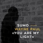 You Are My Light