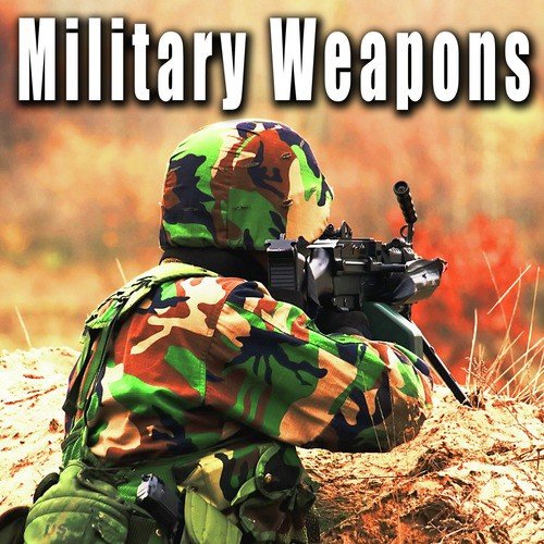 Military: Weapons