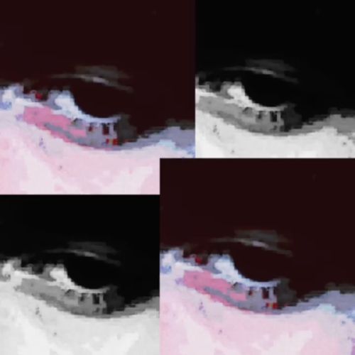 lucy cover art
