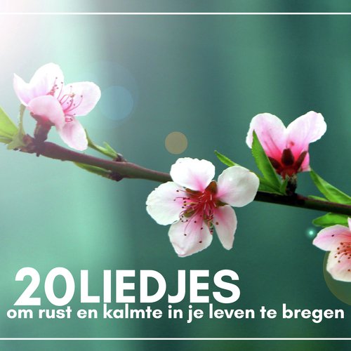 Slaap Muziek cover art