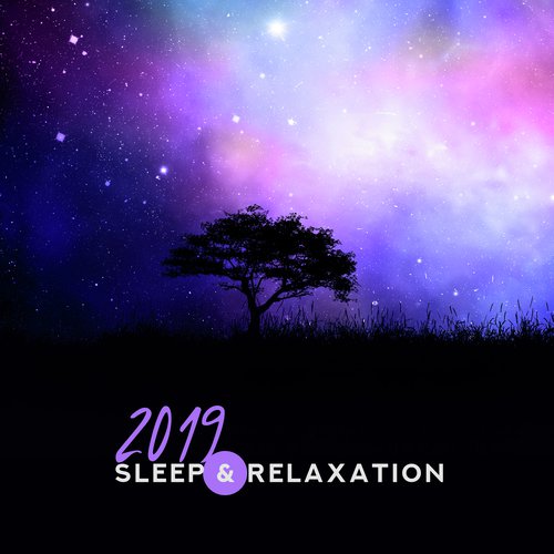 Sleep & Relax cover art