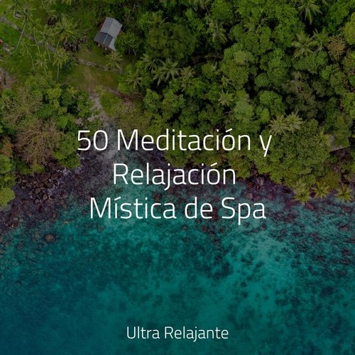 50 Meditación y Relajación Mística de Spa