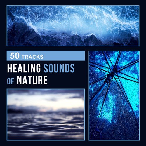 50 Tracks: Healing Sounds of Nature - Thunderstorm, Wind, Rain and Gentle Ocean Waves, Relaxing Music for Yoga & Meditation