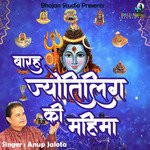 Barah Jyotirling Ki Mahima