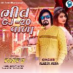 Bhil Gj-20 Vada Part 2