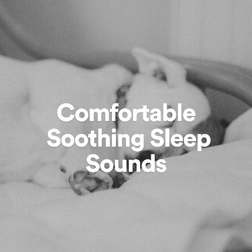 Comfortable Soothing Sleep Sounds_poster_image