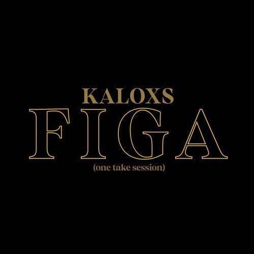 Figa (Live in Studio) (Acoustic Version) cover art