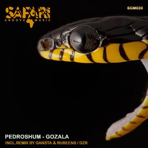 Gozala (DZR Remix) cover art