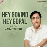 Hey Govind Hey Gopal Lofi Flip