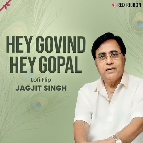 Hey Govind Hey Gopal Lofi Flip