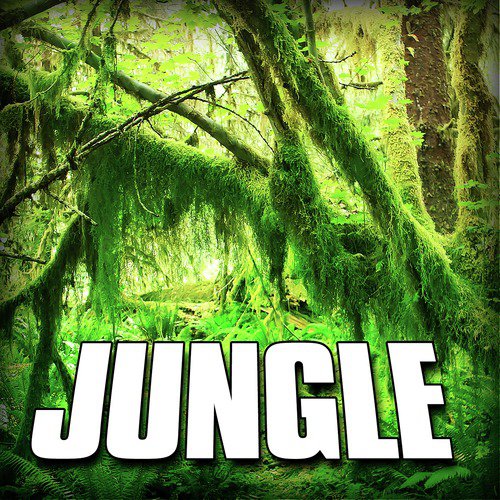 Jungle (Nature Sound)