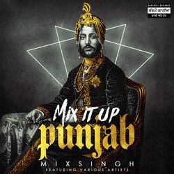 MIX IT UP PUNJAB